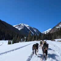 Thumbnail for the listing's main image