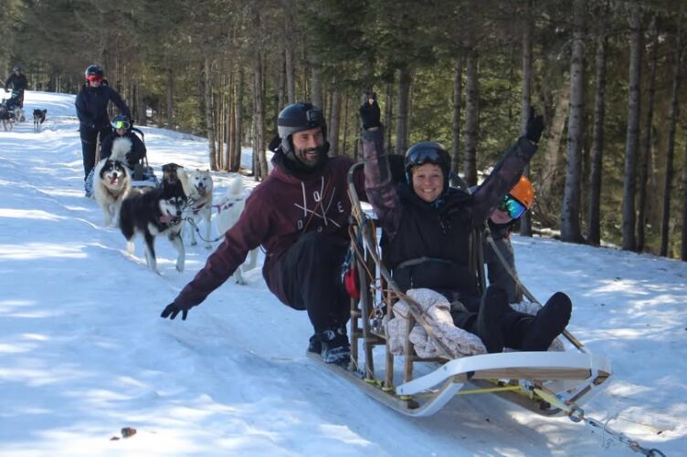 LOOKING FOR GUIDE & HANDLER POSITIONS – WINTER SEASON